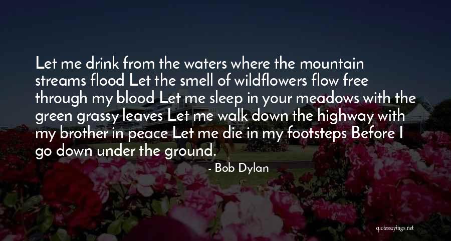 Flood Waters Quotes By Bob Dylan