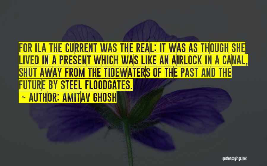 Floodgates Quotes By Amitav Ghosh