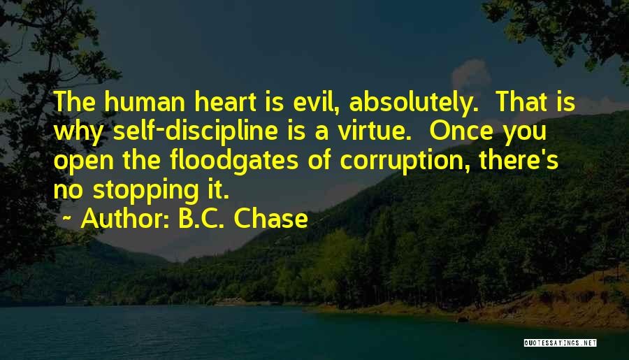 Floodgates Quotes By B.C. Chase