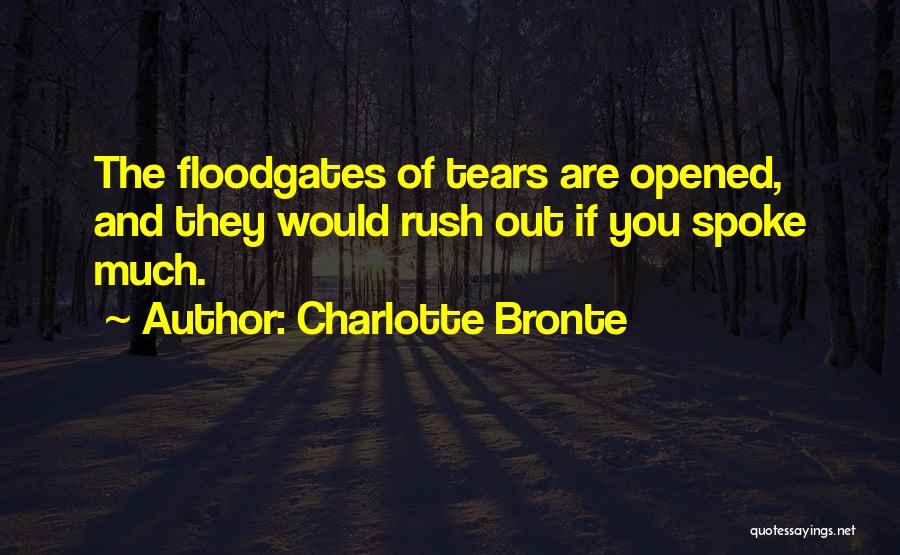 Floodgates Quotes By Charlotte Bronte