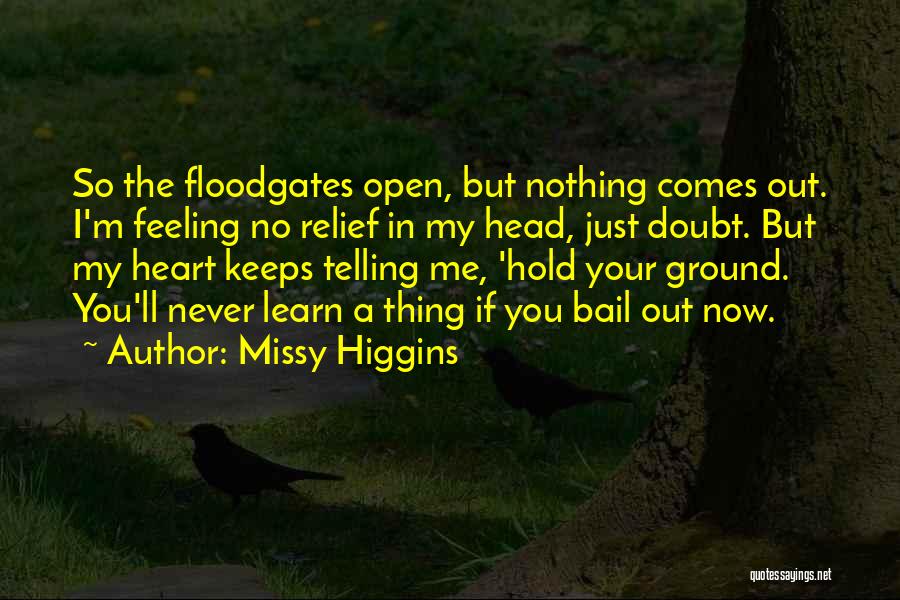 Floodgates Quotes By Missy Higgins