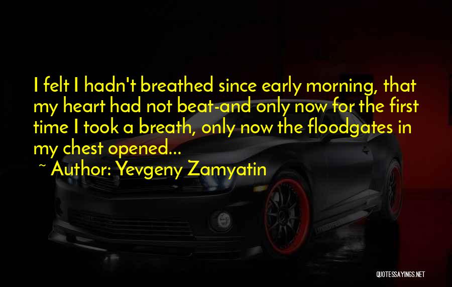 Floodgates Quotes By Yevgeny Zamyatin