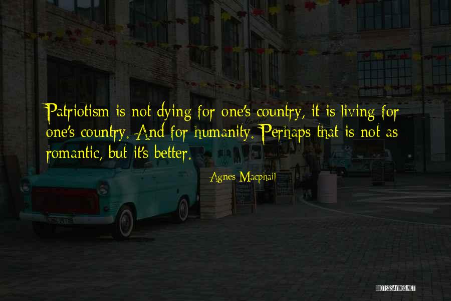 Floodwater Mosquitoes Quotes By Agnes Macphail Floodwater Mosquitoes Quotes By Agnes Macphail