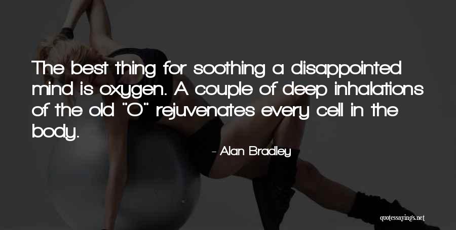 Floor By The Fireplace Quotes By Alan Bradley Floor By The Fireplace Quotes By Alan Bradley