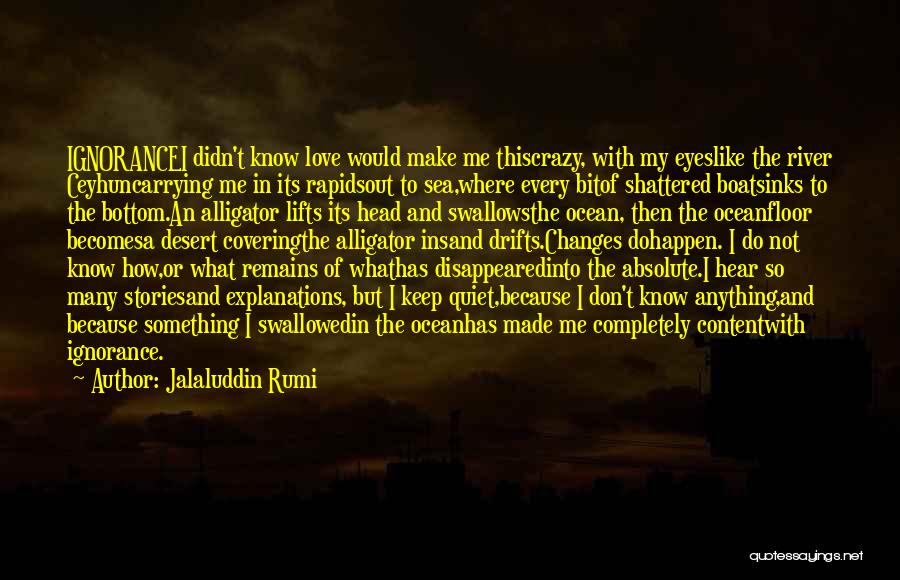 Floor Covering Quotes By Jalaluddin Rumi