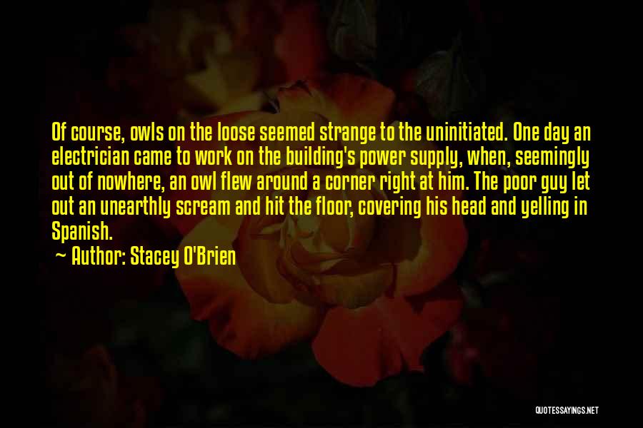 Floor Covering Quotes By Stacey O'Brien