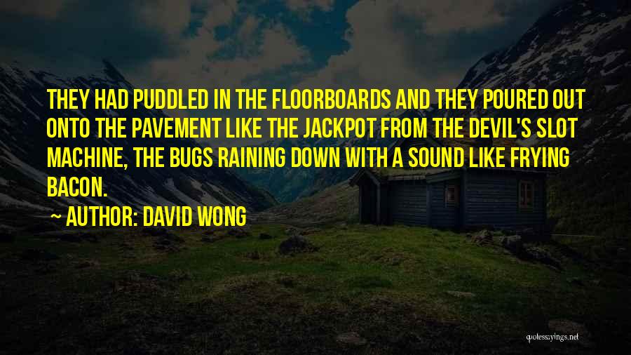 Floorboards Quotes By David Wong
