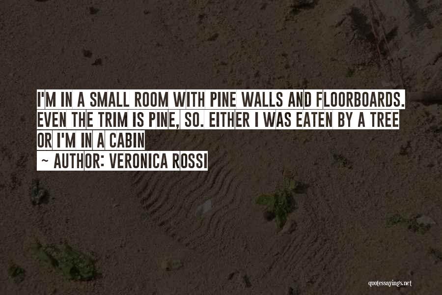 Floorboards Quotes By Veronica Rossi