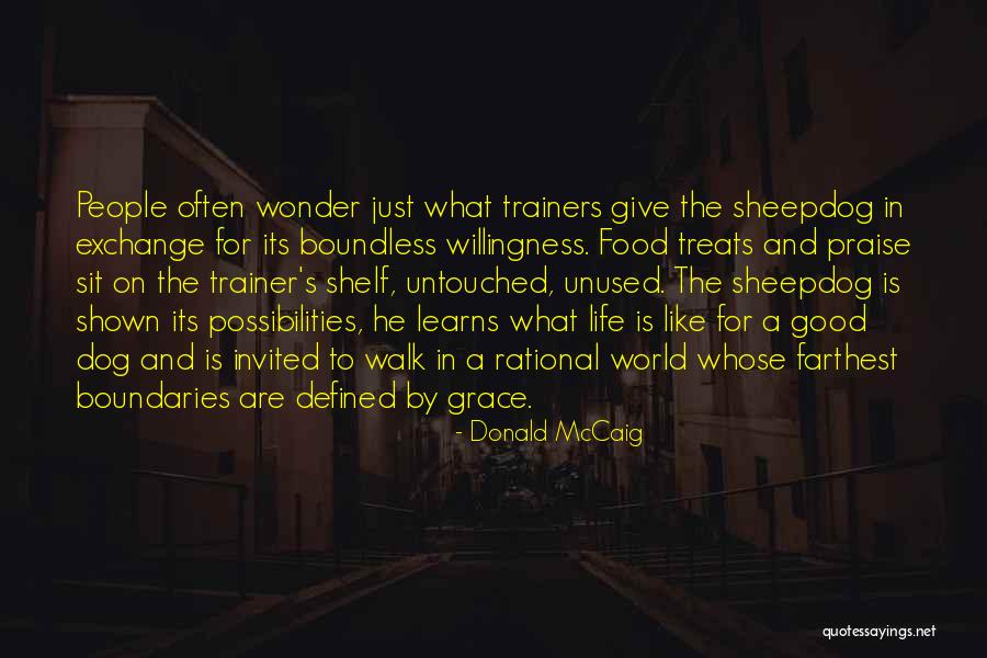 Floors The Book Quotes By Donald McCaig