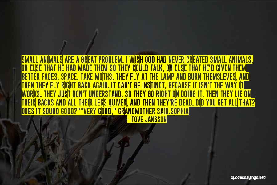 Flophouses In America Quotes By Tove Jansson Flophouses In America Quotes By Tove Jansson