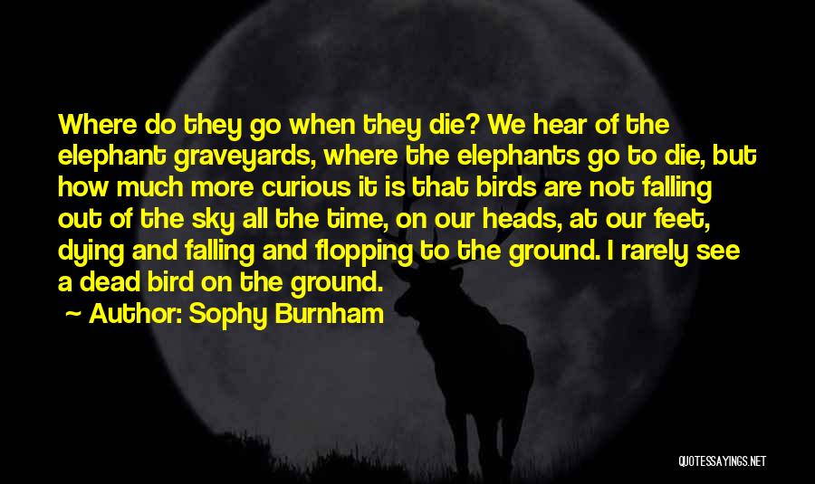 Flopping Quotes By Sophy Burnham