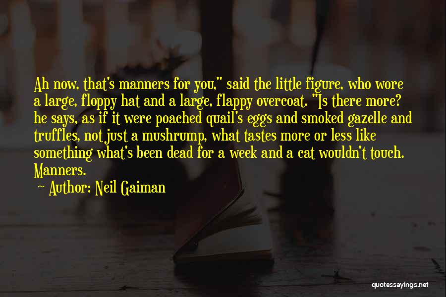 Floppy Hat Quotes By Neil Gaiman