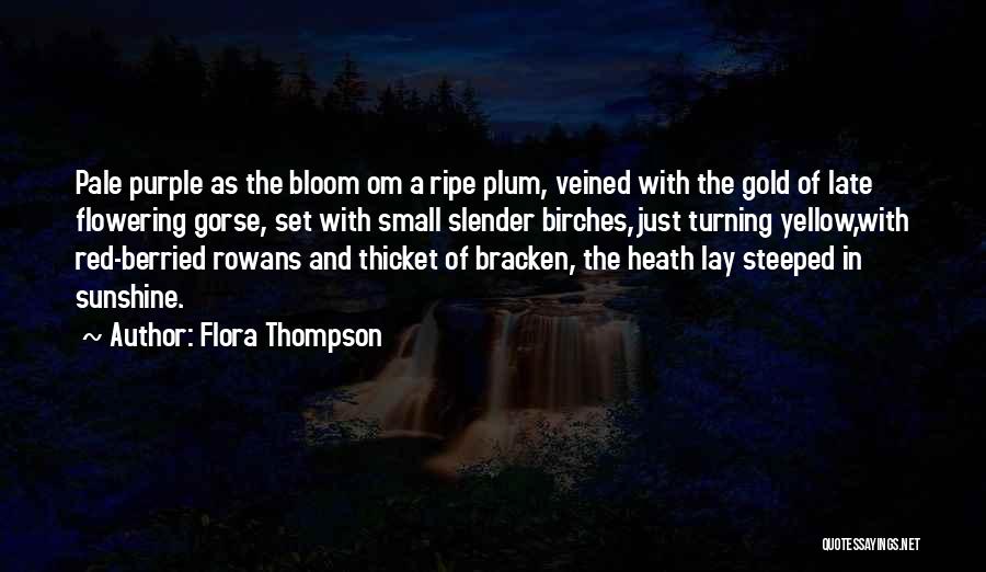 Flora Thompson Quotes 860051