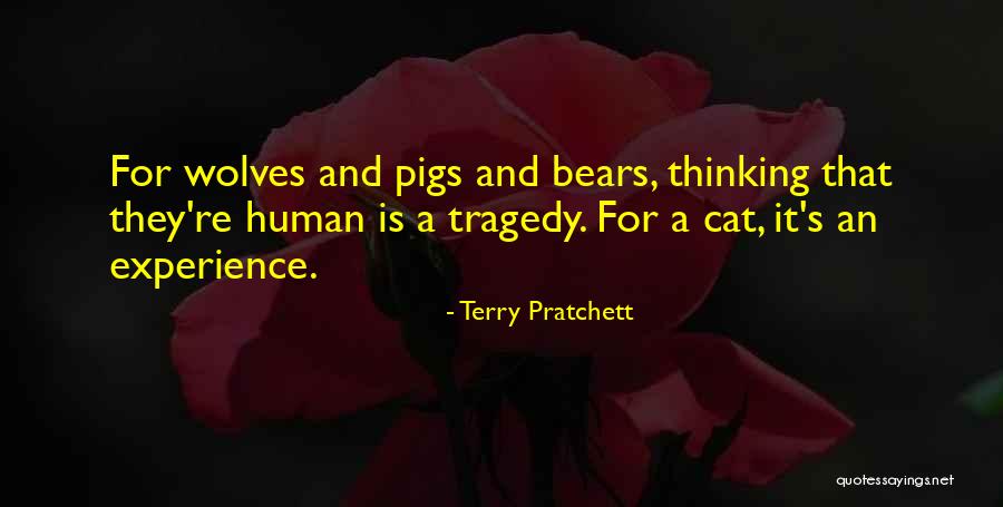 Florence Nightingale 1850 Quotes By Terry Pratchett Florence Nightingale 1850 Quotes By Terry Pratchett