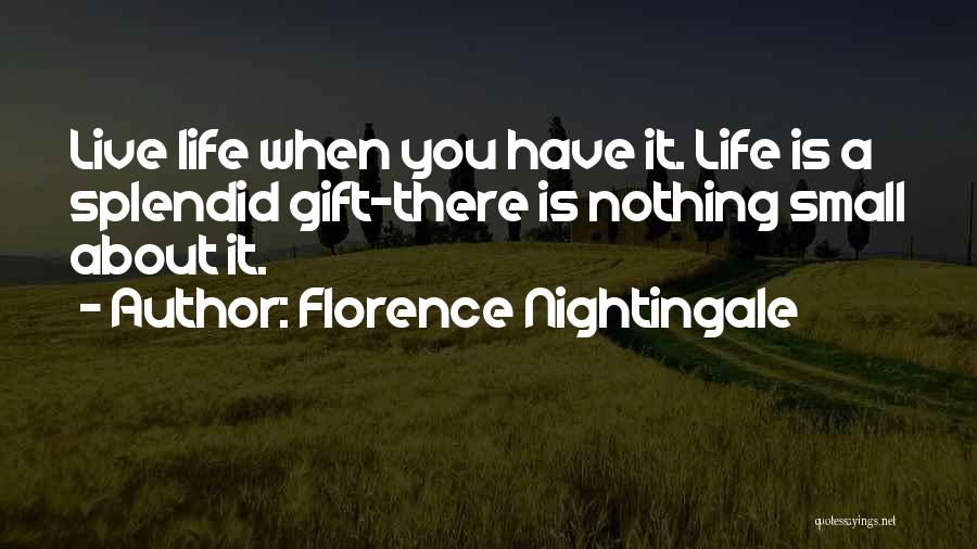 Florence Nightingale Quotes 984460