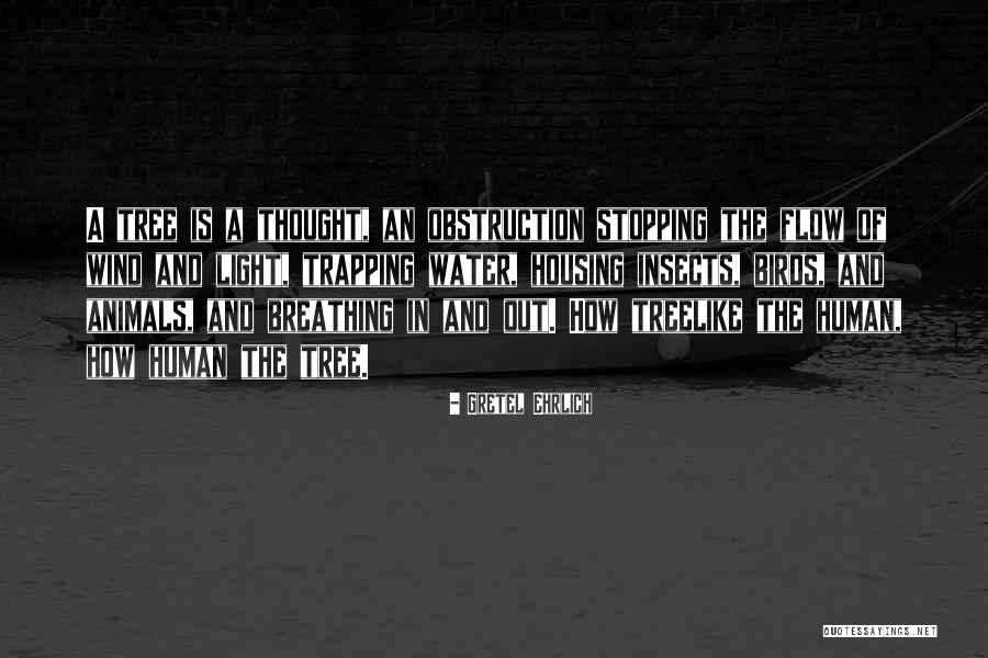 Florentina Quotes By Gretel Ehrlich Florentina Quotes By Gretel Ehrlich