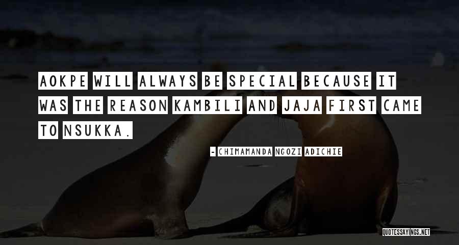 Florestan Stallion Quotes By Chimamanda Ngozi Adichie