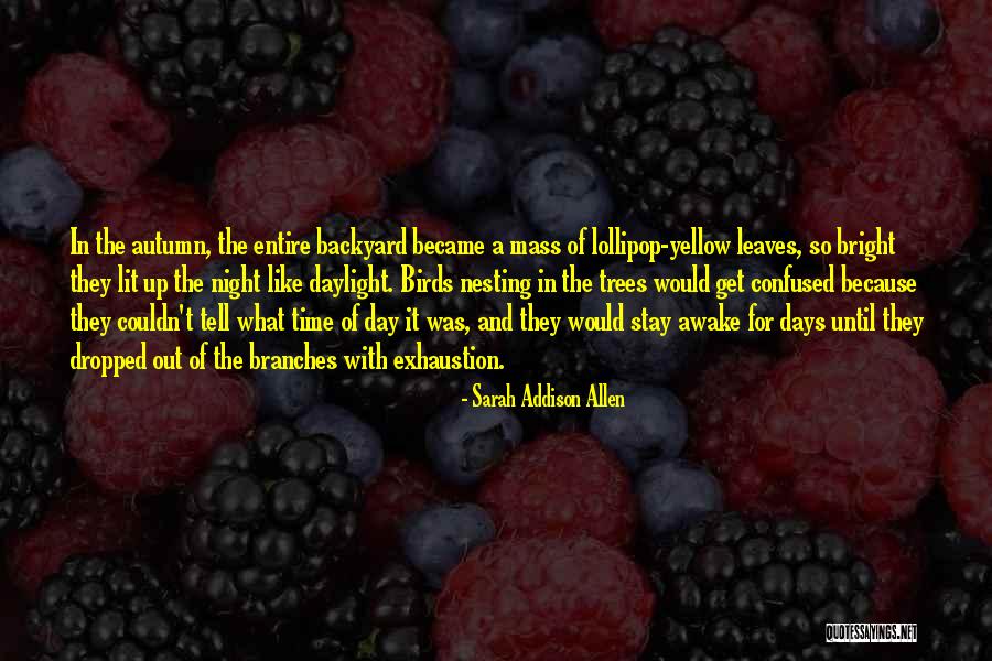 Florinel In Mai Quotes By Sarah Addison Allen Florinel In Mai Quotes By Sarah Addison Allen