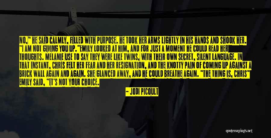 Florrie Sassani Quotes By Jodi Picoult Florrie Sassani Quotes By Jodi Picoult