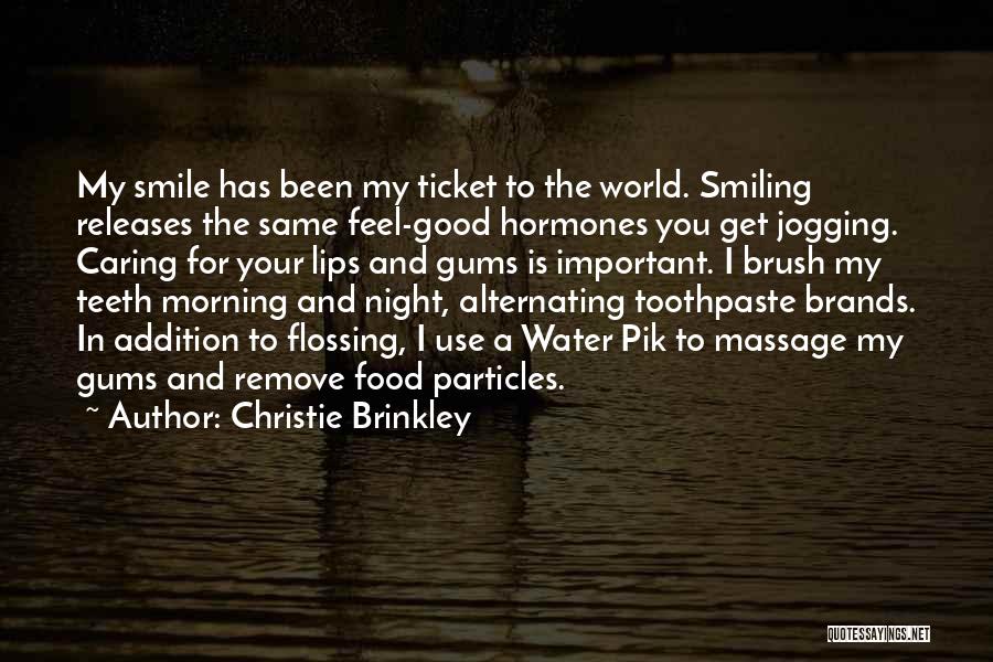 Flossing Your Teeth Quotes By Christie Brinkley