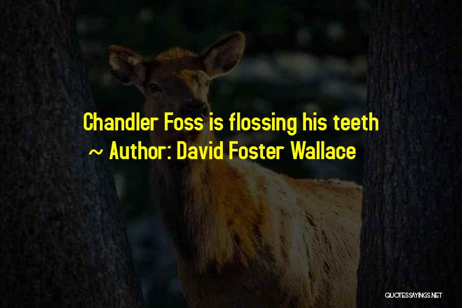 Flossing Your Teeth Quotes By David Foster Wallace