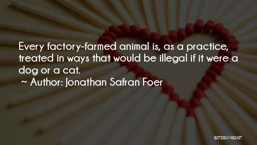 Flotillas Quotes By Jonathan Safran Foer