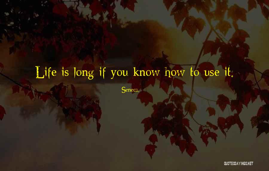 Floundering Vs Foundering Quotes By Seneca. Floundering Vs Foundering Quotes By Seneca.
