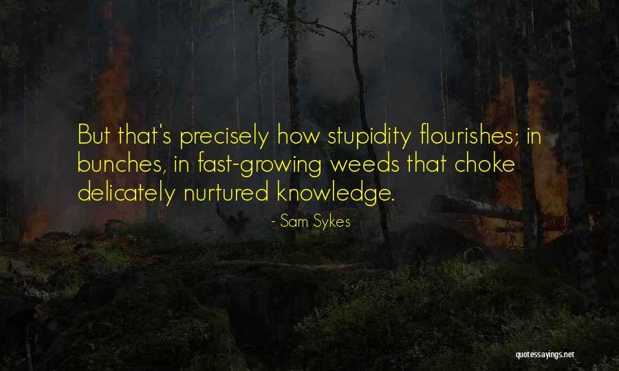 Flourishes Quotes By Sam Sykes Flourishes Quotes By Sam Sykes