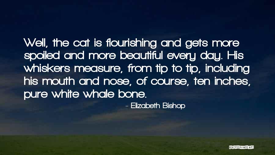 Flourishing Quotes By Elizabeth Bishop