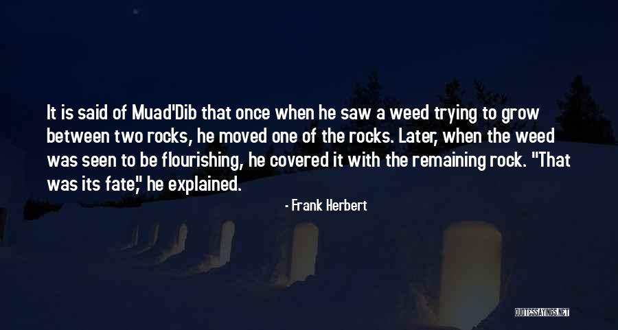 Flourishing Quotes By Frank Herbert