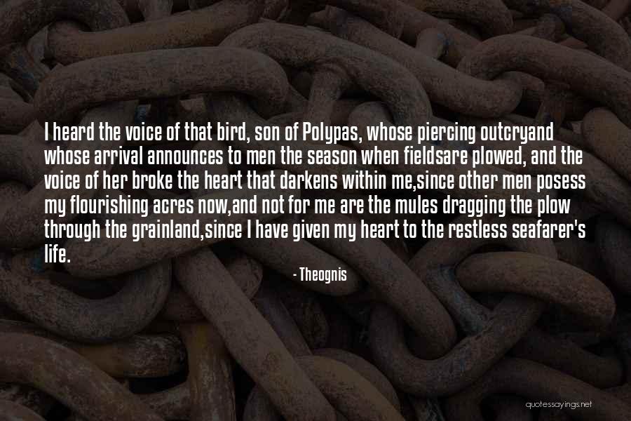 Flourishing Quotes By Theognis Flourishing Quotes By Theognis