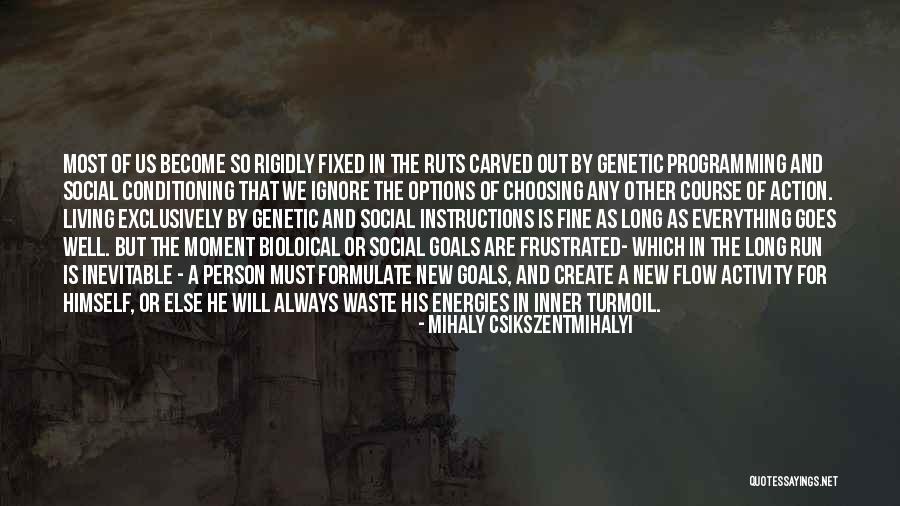 Flow Mihaly Quotes By Mihaly Csikszentmihalyi Flow Mihaly Quotes By Mihaly Csikszentmihalyi