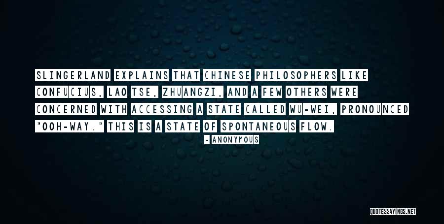 Flow State Quotes By Anonymous