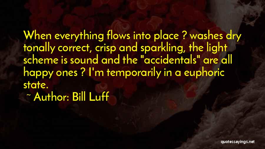 Flow State Quotes By Bill Luff