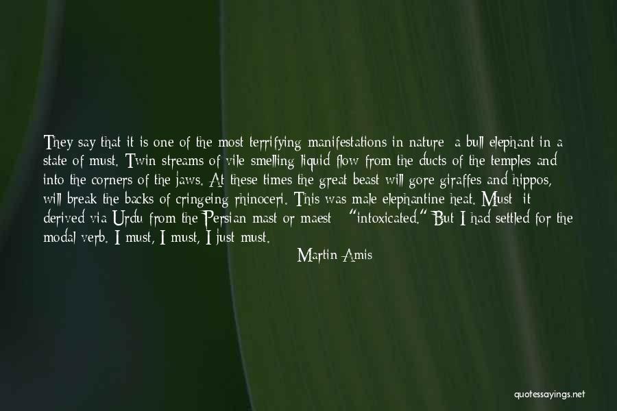 Flow State Quotes By Martin Amis