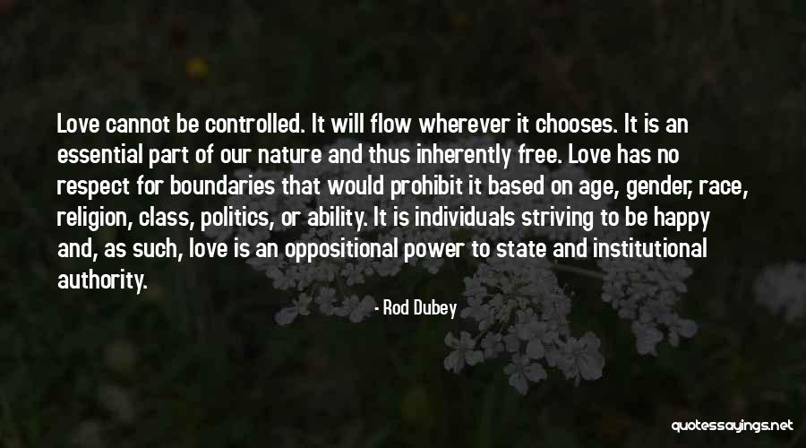 Flow State Quotes By Rod Dubey