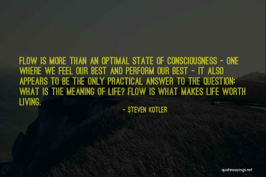 Flow State Quotes By Steven Kotler