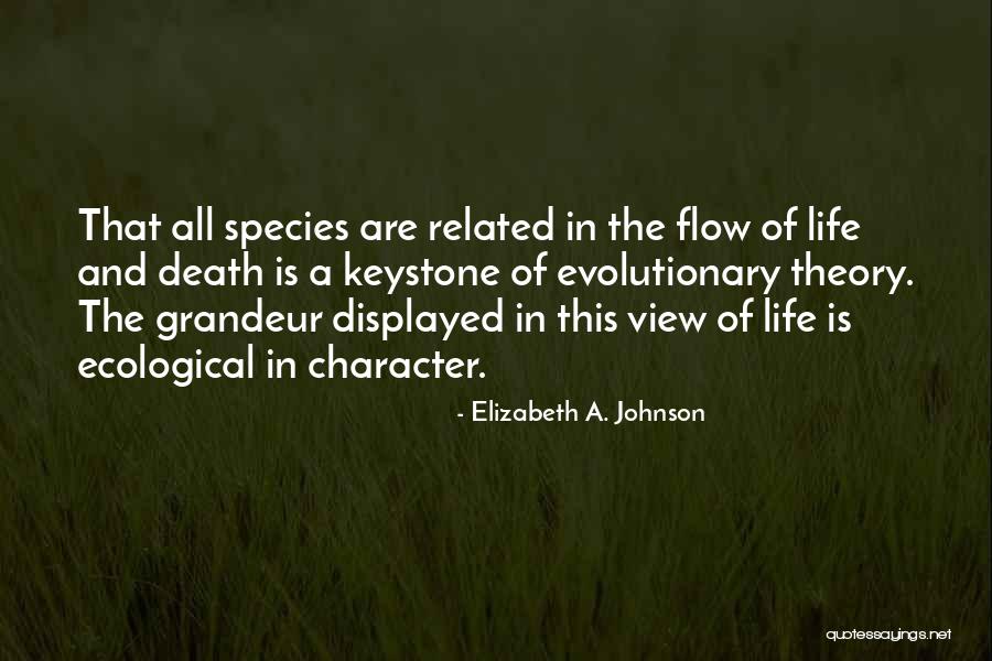 Flow Theory Quotes By Elizabeth A. Johnson