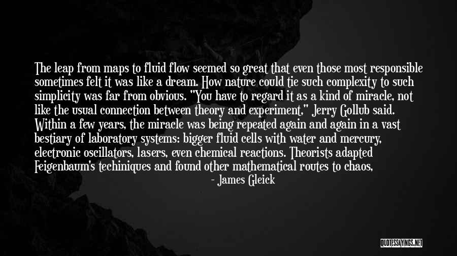 Flow Theory Quotes By James Gleick Flow Theory Quotes By James Gleick