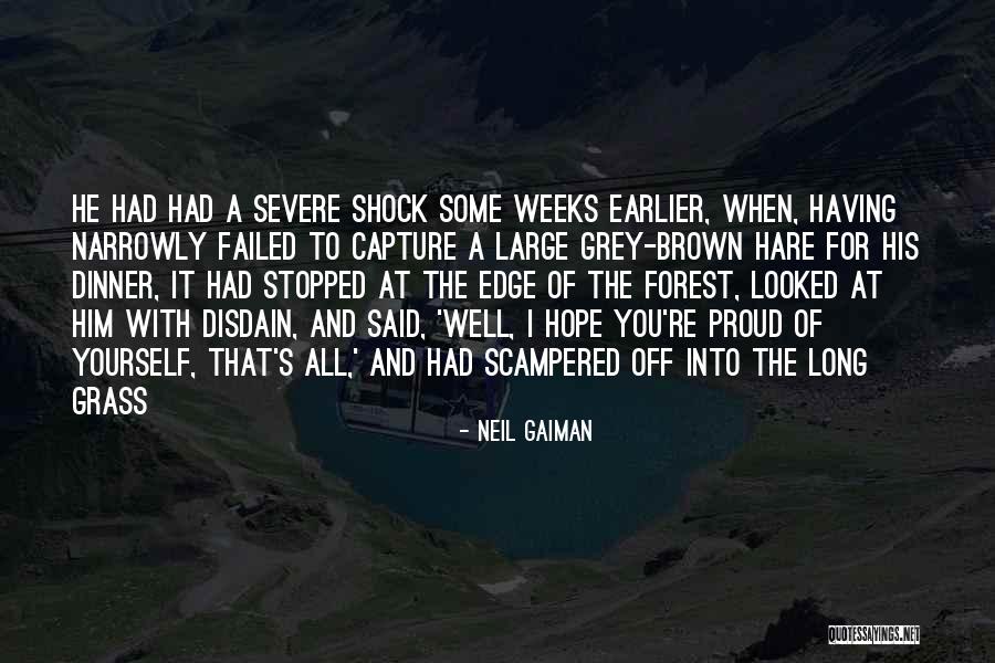 Flowcharts For Programming Quotes By Neil Gaiman Flowcharts For Programming Quotes By Neil Gaiman