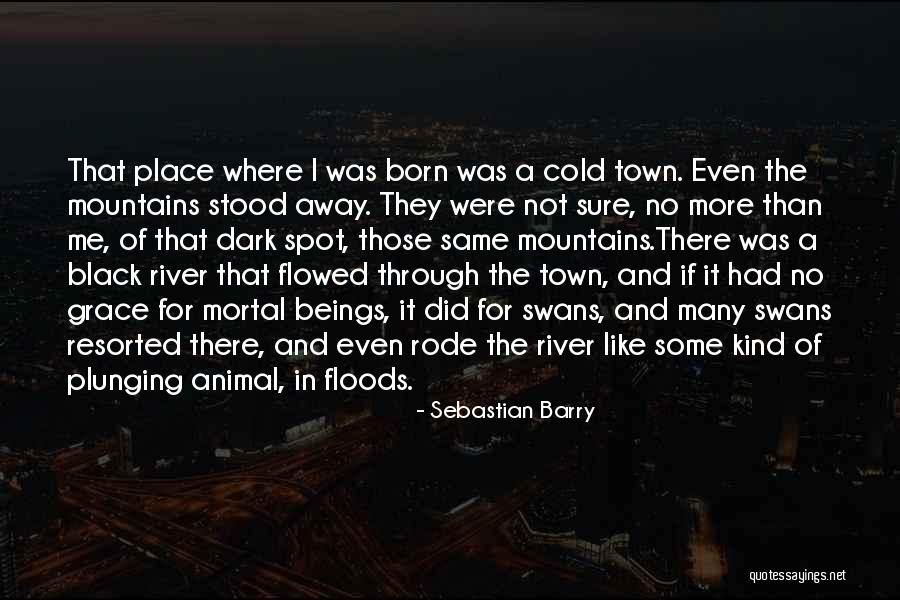 Flowed Quotes By Sebastian Barry Flowed Quotes By Sebastian Barry