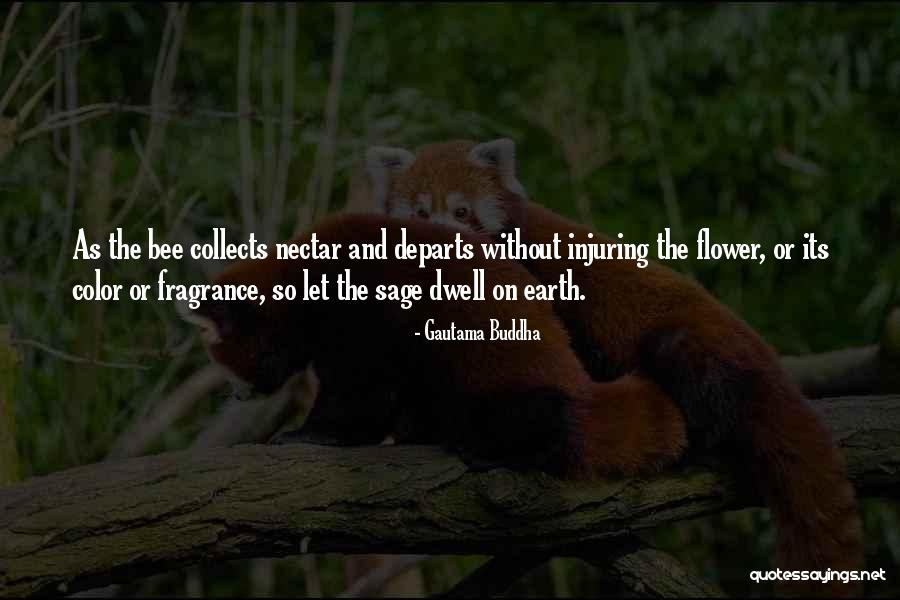 Flower And Bee Quotes By Gautama Buddha Flower And Bee Quotes By Gautama Buddha