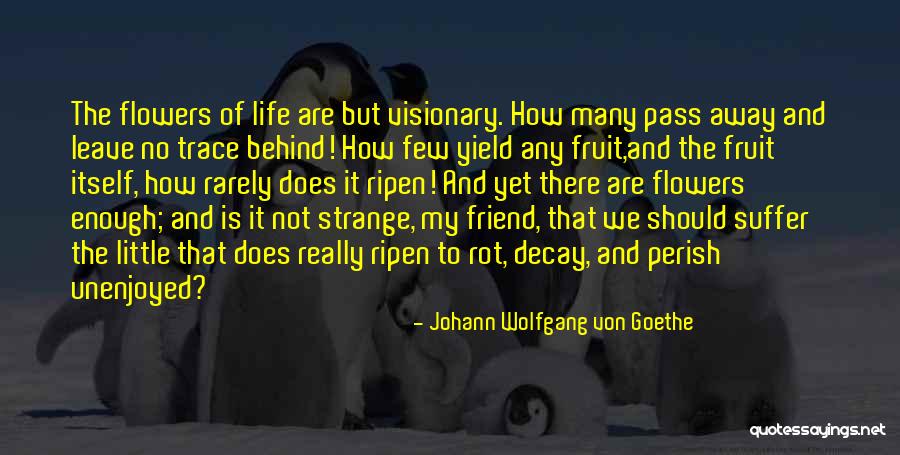 Flower And Friend Quotes By Johann Wolfgang Von Goethe Flower And Friend Quotes By Johann Wolfgang Von Goethe