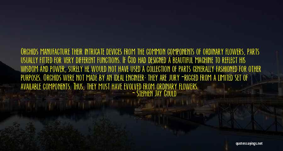 Flower And God Quotes By Stephen Jay Gould Flower And God Quotes By Stephen Jay Gould
