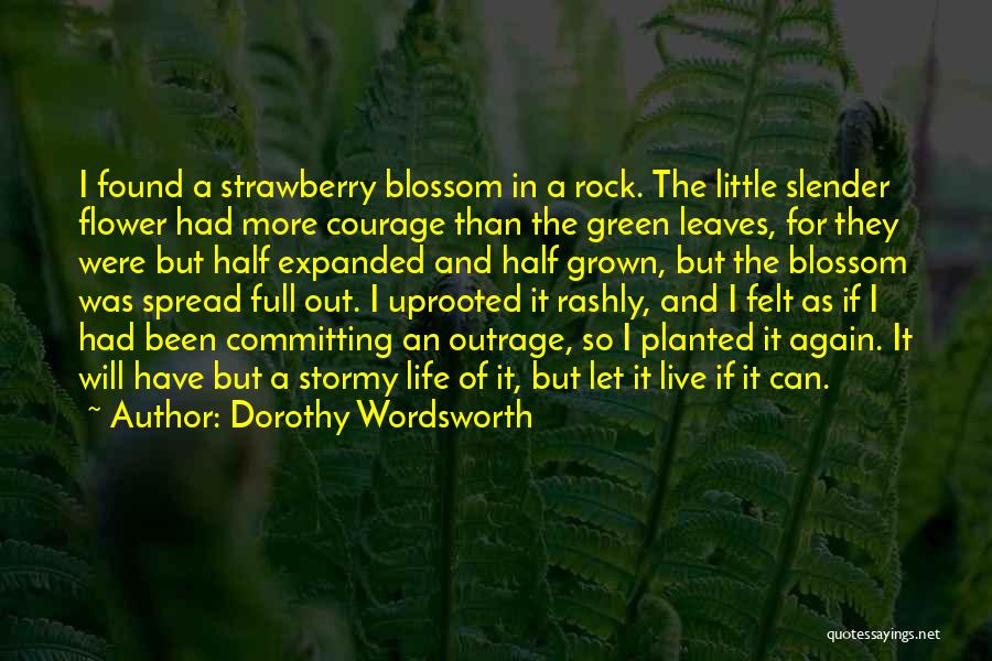 Flower And Leaves Quotes By Dorothy Wordsworth