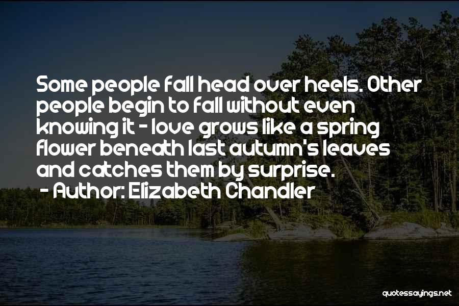 Flower And Leaves Quotes By Elizabeth Chandler