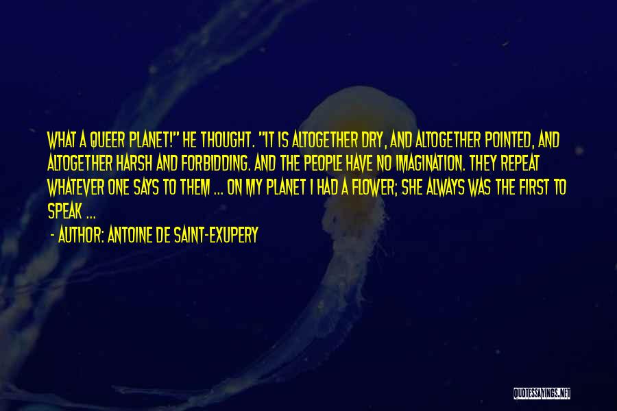 Flower And Quotes By Antoine De Saint-Exupery