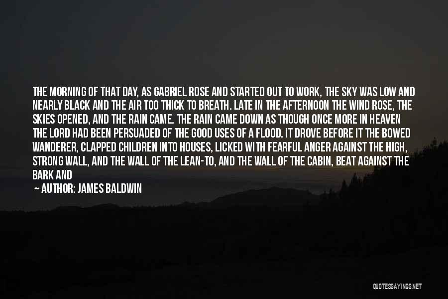 Flower And Rain Quotes By James Baldwin