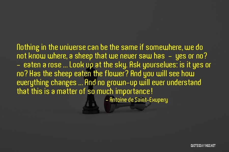 Flower And Sky Quotes By Antoine De Saint-Exupery Flower And Sky Quotes By Antoine De Saint-Exupery