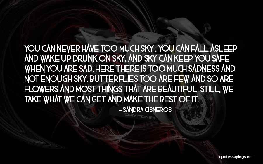 Flower And Sky Quotes By Sandra Cisneros Flower And Sky Quotes By Sandra Cisneros